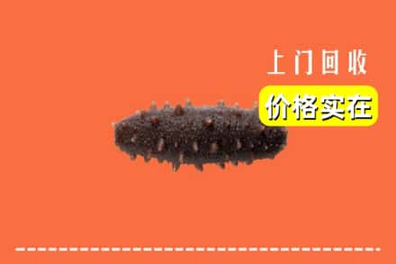 南宁市良庆回收海参