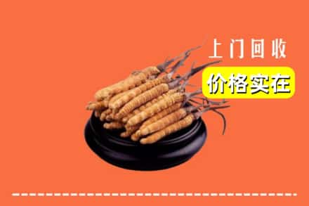 南宁市良庆回收冬虫夏草